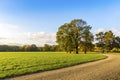 Rosenthal forest park in Leipzig city, Saxony, Germany Royalty Free Stock Photo