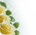 Roses Royalty Free Stock Photo
