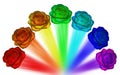 Roses of all colors of the rainbow . Royalty Free Stock Photo