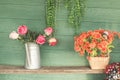 Roses aluminium jar on wooden board..