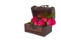 Roses arranged in treasure chest Royalty Free Stock Photo