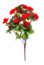 Roses artificial red isolated on white background Royalty Free Stock Photo