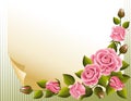 Roses background Royalty Free Stock Photo