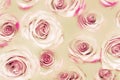 Roses background. Abstrat flowers texture. Royalty Free Stock Photo