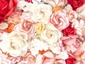 Roses background for valentine`s day