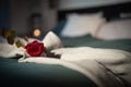 Roses on bed in a hotel room