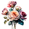 Roses in Bloom: Watercolor Charm PNG Collection