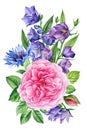 Roses, bluebells and cornflowers. Bouquet Flower isolated white background, watercolor illustration, botanical painting. Royalty Free Stock Photo