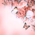 Roses and butterfly, floral background