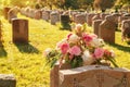 Roses in a cemetery