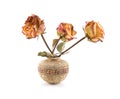 Roses in ceramic vase Royalty Free Stock Photo