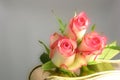 Roses and chocolates Royalty Free Stock Photo