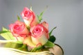 Roses and chocolates Royalty Free Stock Photo