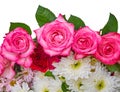 Roses and chrysanthemus on white background Royalty Free Stock Photo