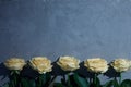 Roses on concrete background of a special day like Valentine.. top view with copy space.