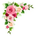 Roses corner border. Red, pink, and white roses corner design element. Vector illustration Royalty Free Stock Photo