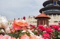 Roses decorating the facade of The Hall of Prayer for Good Harvest at the Temple of Heaven, Beijing, China, Asia Royalty Free Stock Photo