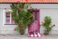 Roses decorating the house entrance Royalty Free Stock Photo