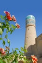 Roses and dome Tower Madrasah Khalifa Niyazkul or Chor-Minor