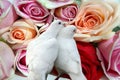 Roses and doves Royalty Free Stock Photo