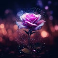 Roses in Dreamy Bokeh on a Dark Background