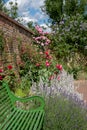 Roses at Eastcote House Gardens, historic walled garden in Eastcote, Pinner, UKgdon, UK Royalty Free Stock Photo