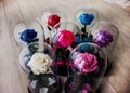 Roses in a flask under the glass. As a gift for the holiday. Royalty Free Stock Photo
