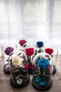Roses in a flask under the glass. As a gift for the holiday. Royalty Free Stock Photo
