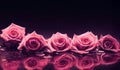 roses floating on the water mysterious romantic background