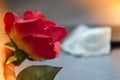 Roses flower with condom background