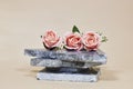 roses flowers on blue marble podium or stone beauty.