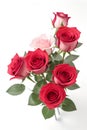 Red and pink Roses flowers bouquet isolated on white background. Closeup. Generative AI Royalty Free Stock Photo