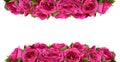 Roses Flowers Festive Border Congratulation Concept Isolated on