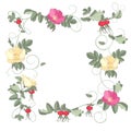 Roses flowers frame