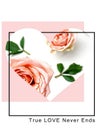 Roses flowers greetings card with love text quotes for Valentine Day Wedding