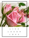 Roses flowers greetings card with love text quotes for Valentine Day Wedding