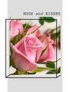 Roses flowers greetings card with love text quotes for Valentine Day Wedding