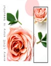 Roses flowers greetings card with love text quotes for Valentine Day Wedding