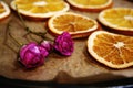 Wild Dryed Roses Cut Flowers and Dried Orange Slices