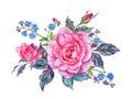 Roses and forget-me-nots, watercolor bouquet on white background.