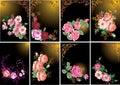 Roses in frames collection Royalty Free Stock Photo