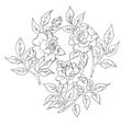 Roses. A freehand drawing. Royalty Free Stock Photo