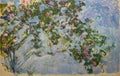 Roses, Giverny by French Impressionist painter Claude Monet