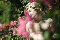 Roses and gods statue in the rose garden Beutig in Baden-Baden Royalty Free Stock Photo