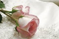 Roses and gown Royalty Free Stock Photo