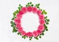 Roses with green leaves isolated pink flower head wreath Royalty Free Stock Photo