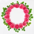 Roses with green leaves isolated pink flower head wreath Royalty Free Stock Photo