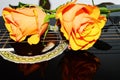 Roses and a guitar, symbols Royalty Free Stock Photo