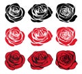 Black silhouettes rose flowers inflorescence, red silhouettes and red rose wiht black outlines isolated on white