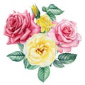 Roses. Hand drawn watercolor painting on white background. bouquet of pink and yellow flowers Royalty Free Stock Photo